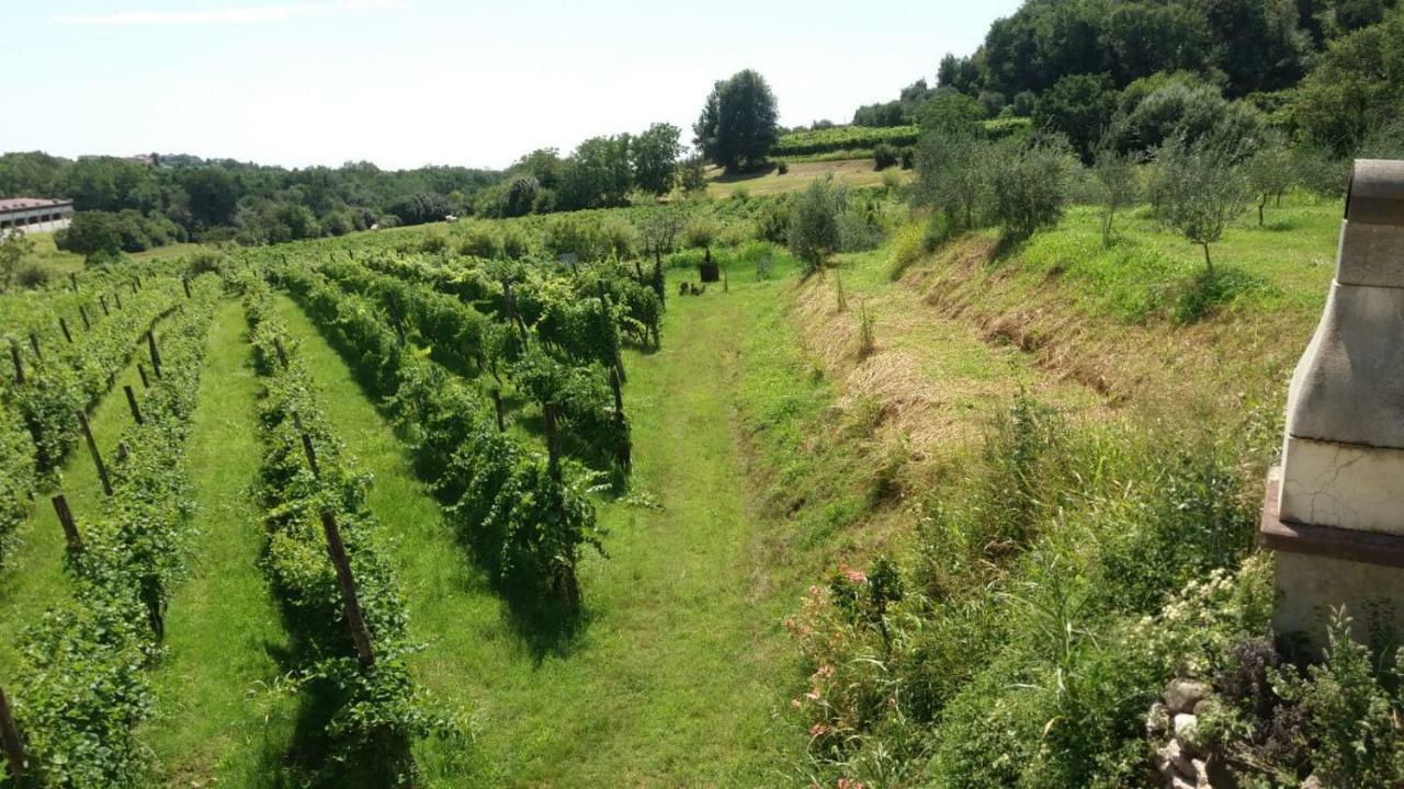 La Bosca Agriturismo غافاردو المظهر الخارجي الصورة